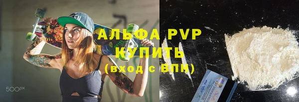 spice Богородицк