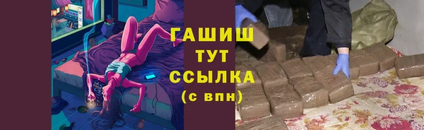 spice Богородицк