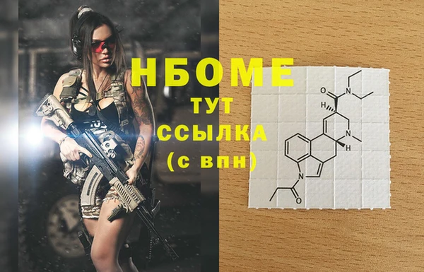 spice Богородицк