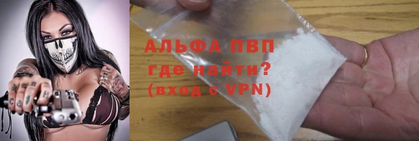 эйфоретик Богданович