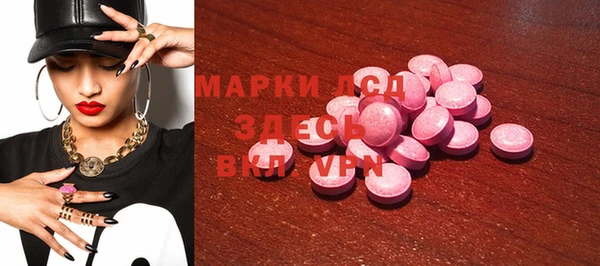 spice Богородицк