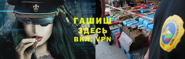 spice Богородицк